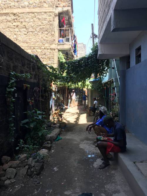 The alley, known as “Green Hub,” used to be feared by community members because of the risk of being robbed. However, Green Hub’s hanging vines create shade nowadays, making it a pleasant and cool place for youths to hang out and share stories. Mlango Kubwa, February 2024. Picture: Siiri Sandberg.