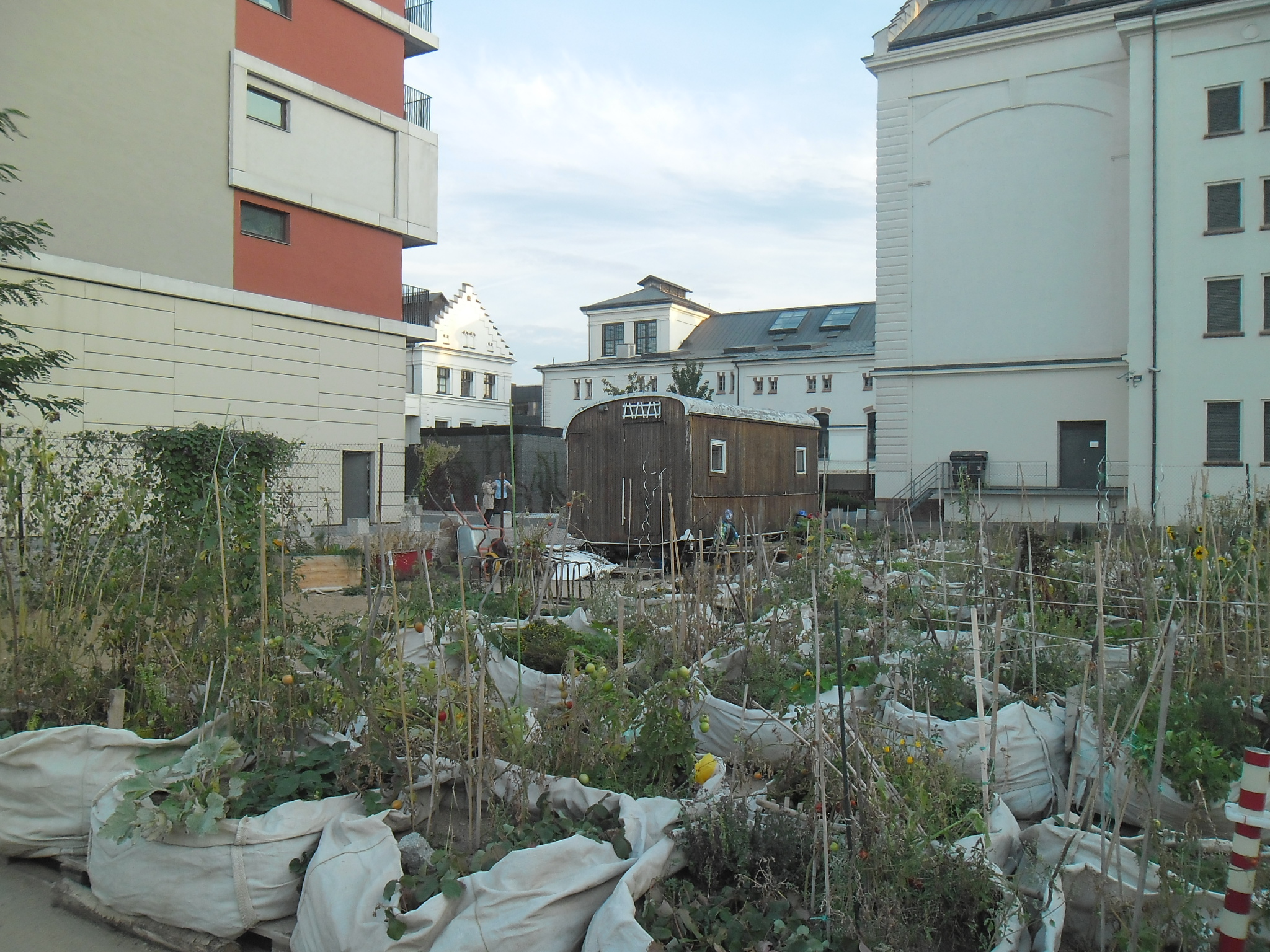 Urban gardening in Prague's district of Holesovice