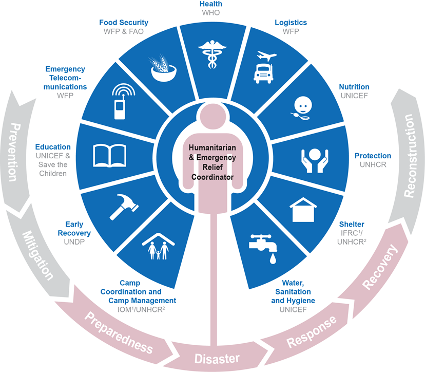 Diagram of Cluster Approach to humanitarian coordination