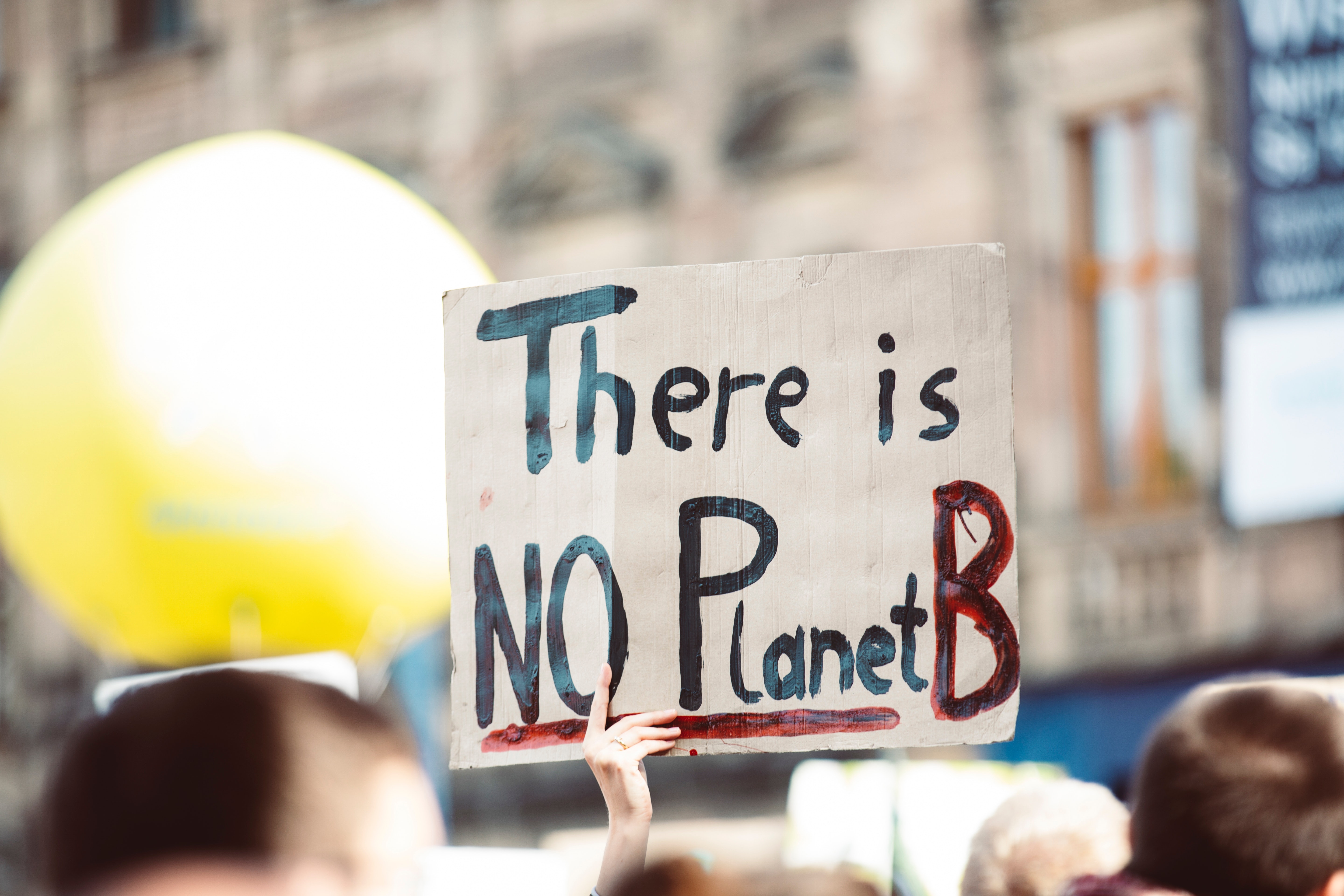 Picture of what seems to be a street demonstration with sign that reads 'There is No Planet B'